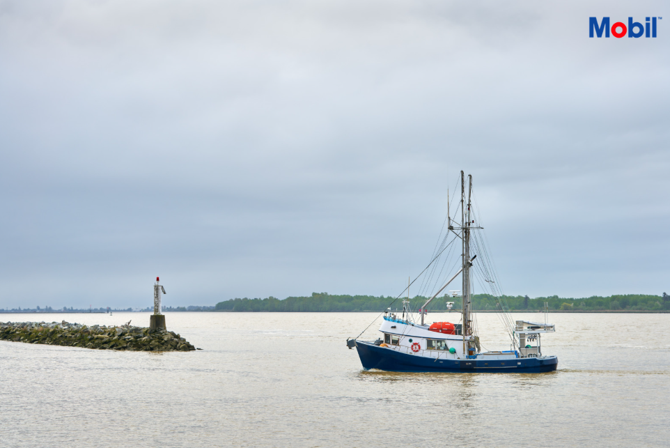 Fishing